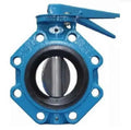 Audco CI Butterfly Valve Nitrile (PN 16) Gear Operated