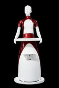 HUMANOID  SERVICE ROBOT composite enclosure