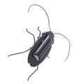 Solar Powered Vibrating Black Cockroach Bug